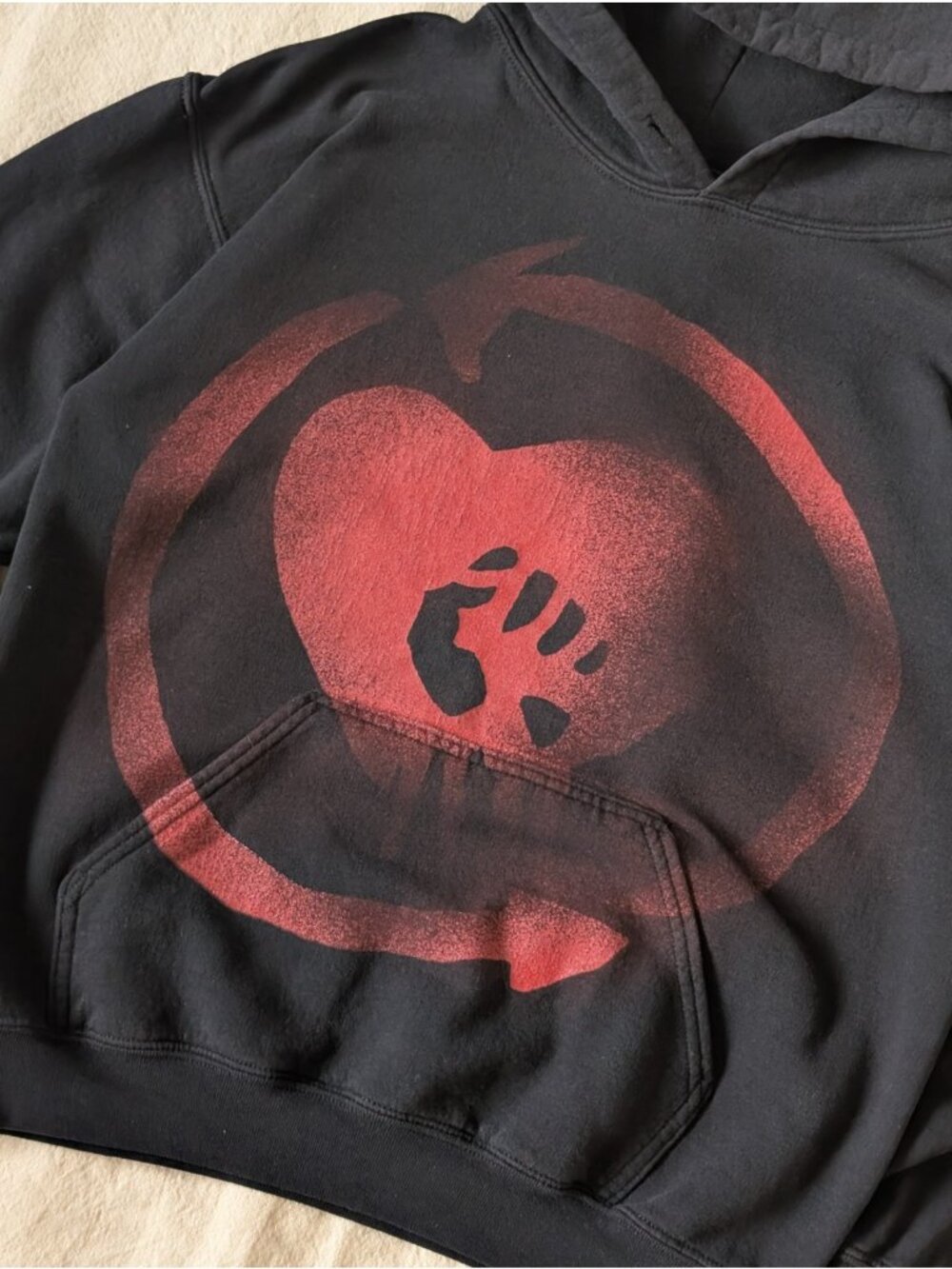 Rise Against VTG 2008 Appeal to Reason Black Graphic Band Hoodie Punk Rock SM - Picture 4 of 8